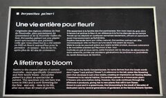 Galerie photo 